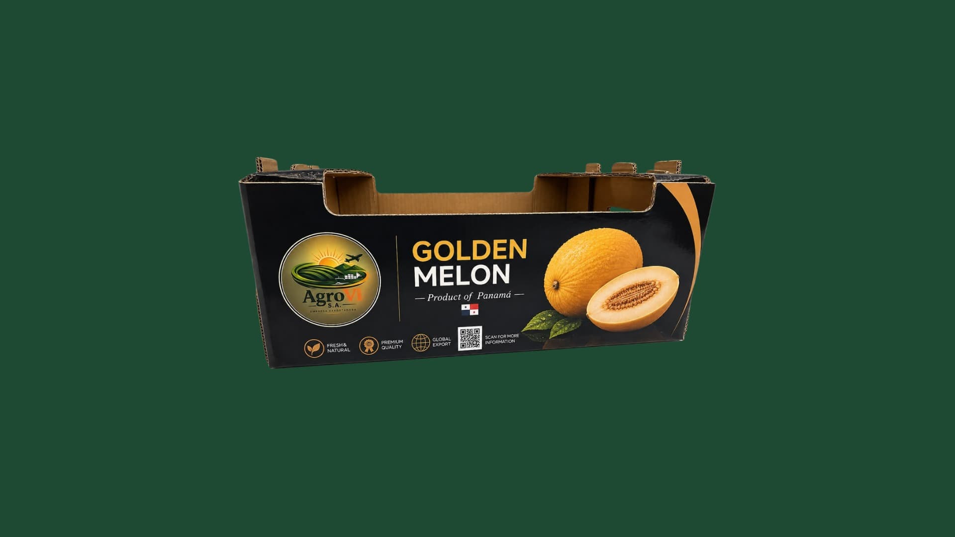 Caja de empaque de melón dorado AgroVi S.A. lista para exportación
